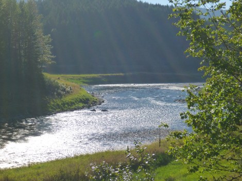 Middle Fork of the Willamette River 