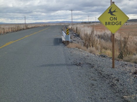 The bridge wasn't that big and there weren't any birds around