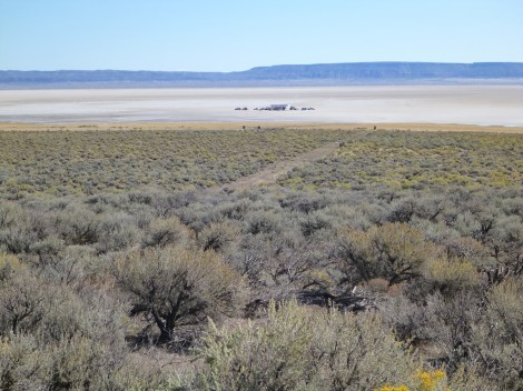 I wonder how they did?