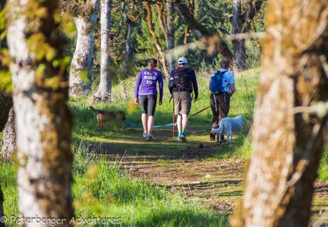 Hiking up the main path