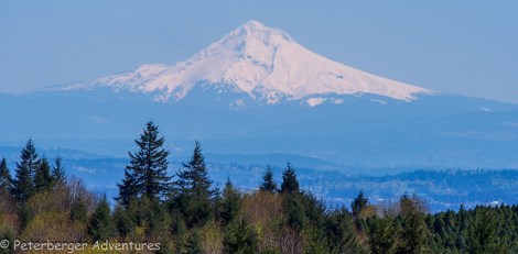 Mt Hood