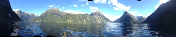 Milford sound by kayak. 