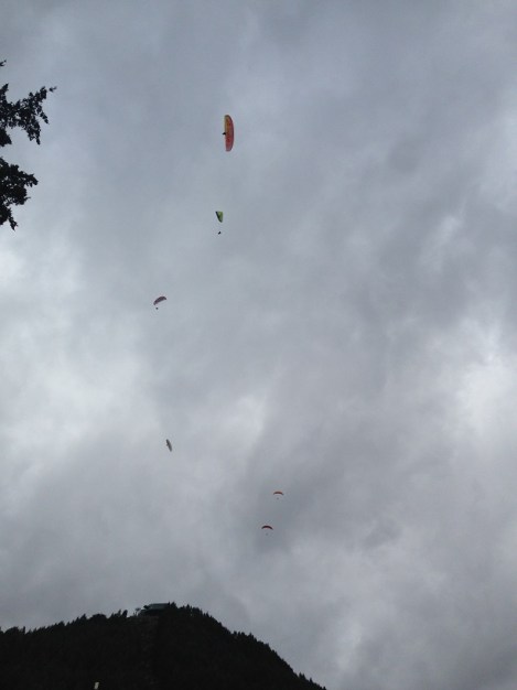 Paragliders dropping out of the sky over Queensland- on the hour.