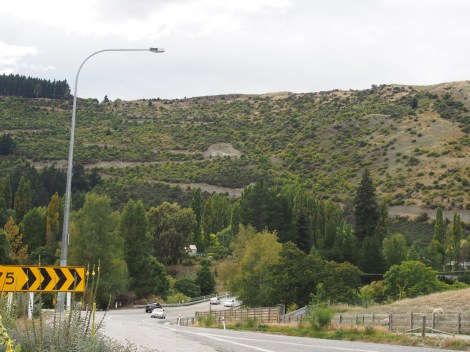 The first set of switchbacks up to the Summit. 