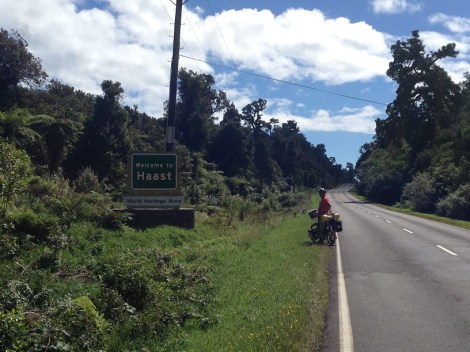 Riding through a rain forest - beautiful. 