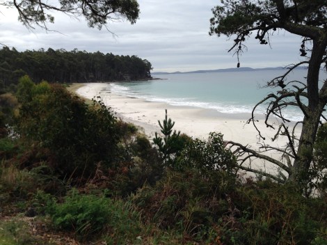 Beautiful white sand beaches of Bruny Island. 