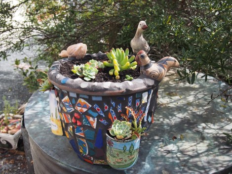 The finished product with plants. 