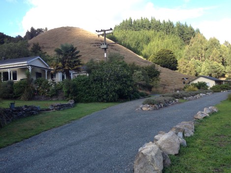 Mahoe Hills Alpaca Farms and studio