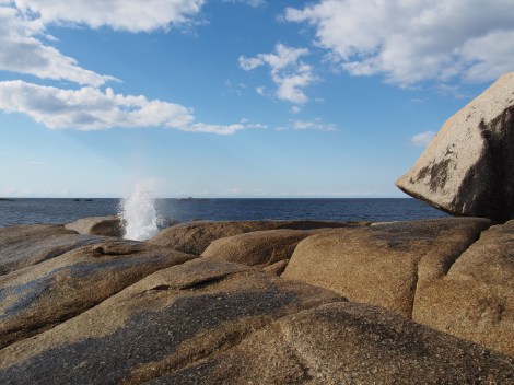 The blowhole at Bicheno