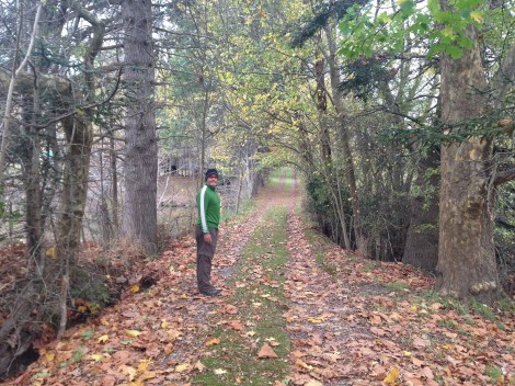 Fall in lovely Lillydale