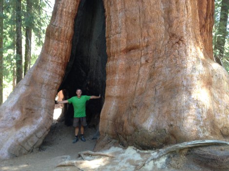 Showing of his bike gear in a very large tree.